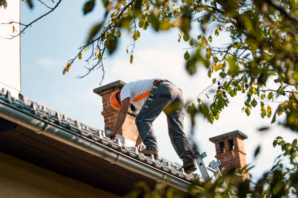 Best Roof Maintenance Services  in Twain Harte, CA