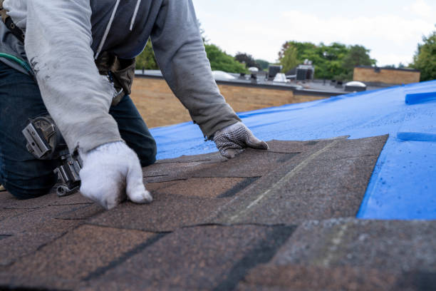 Best Local Roofing Companies  in Twain Harte, CA